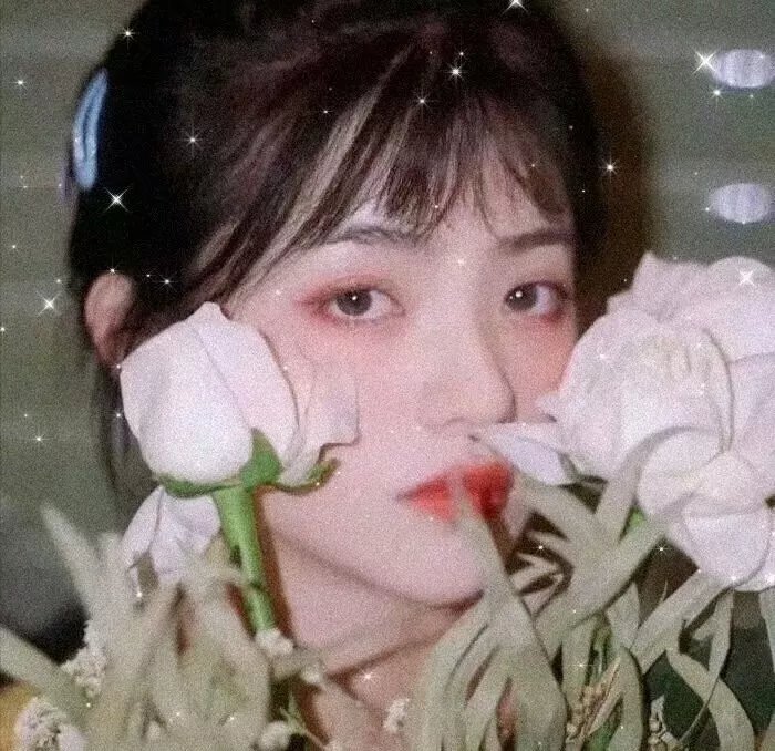 遗赠的秘密